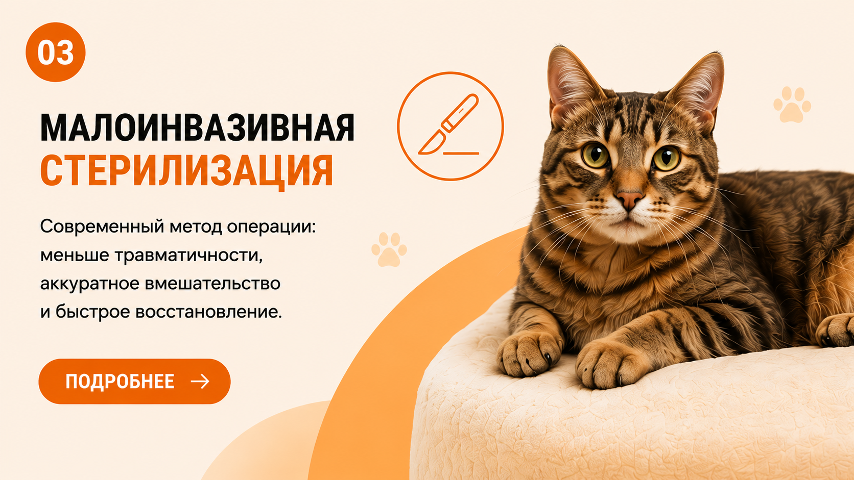Баннер
